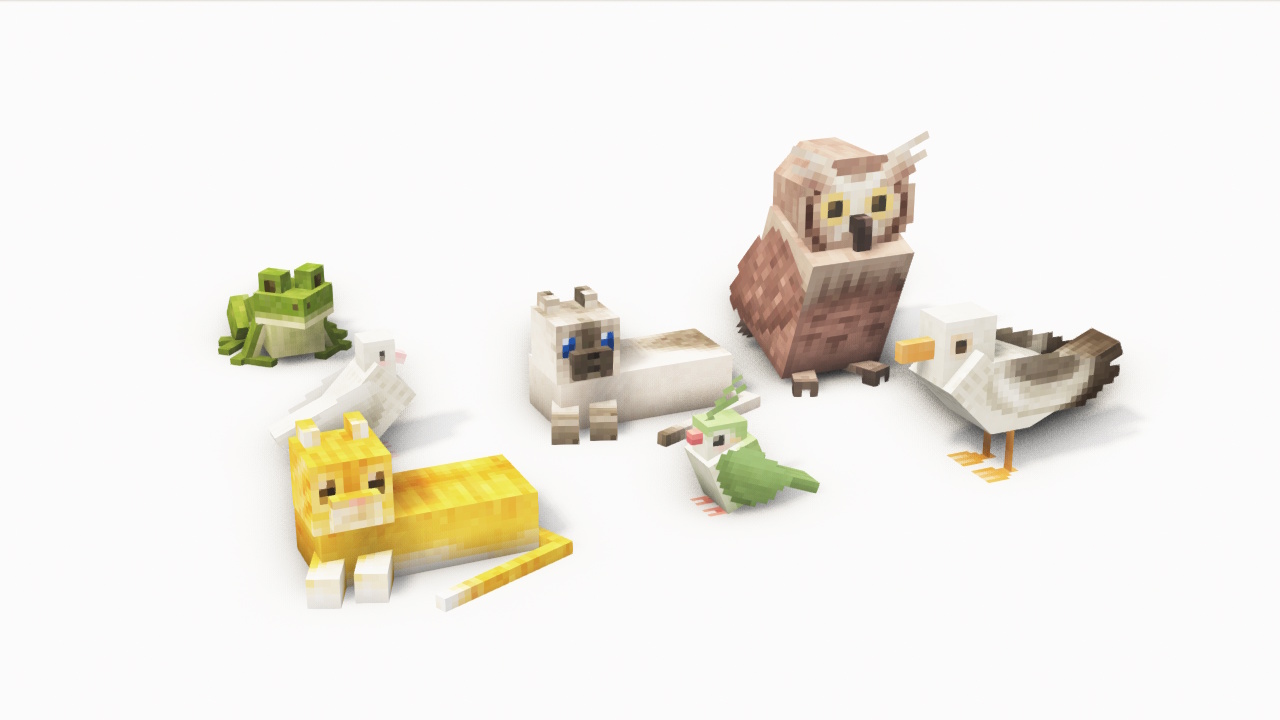 animals