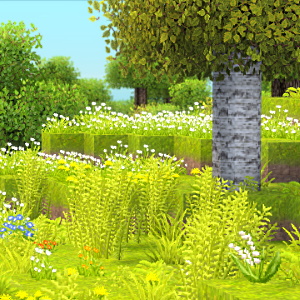 beautiful nature