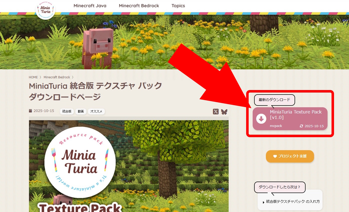 installation-bedrock-texture-pack